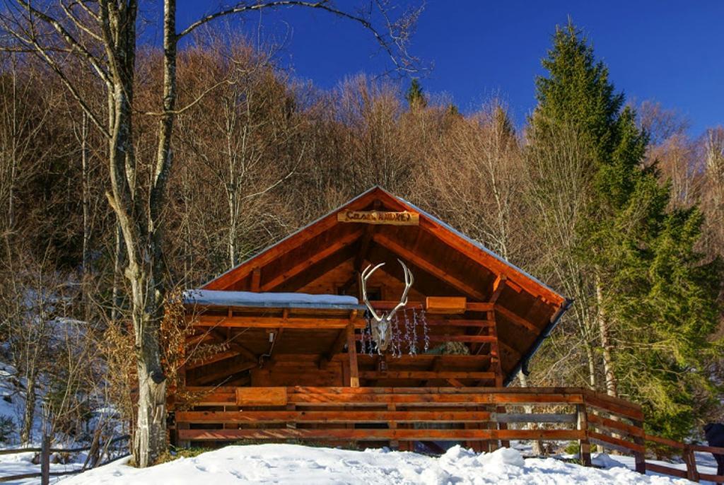 Cabana Casa Craita เซอร์เนช ห้อง รูปภาพ