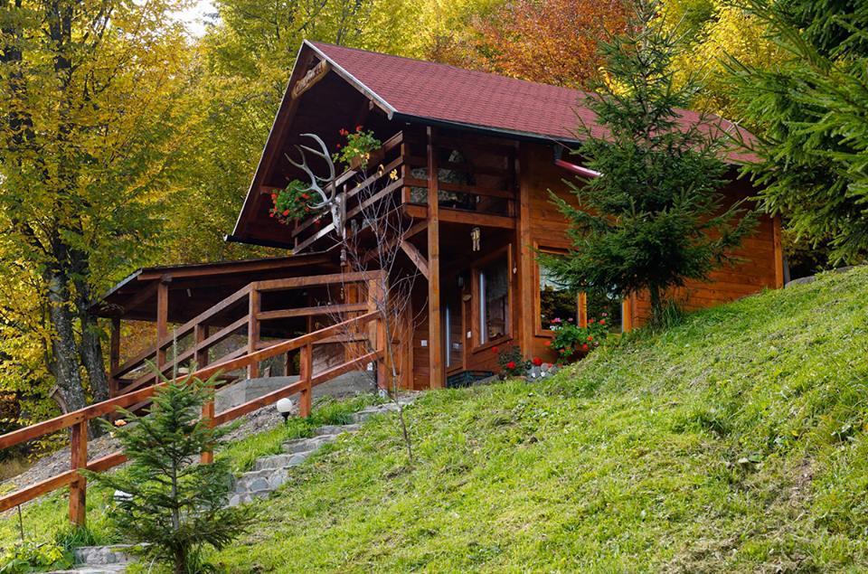 Cabana Casa Craita เซอร์เนช ภายนอก รูปภาพ